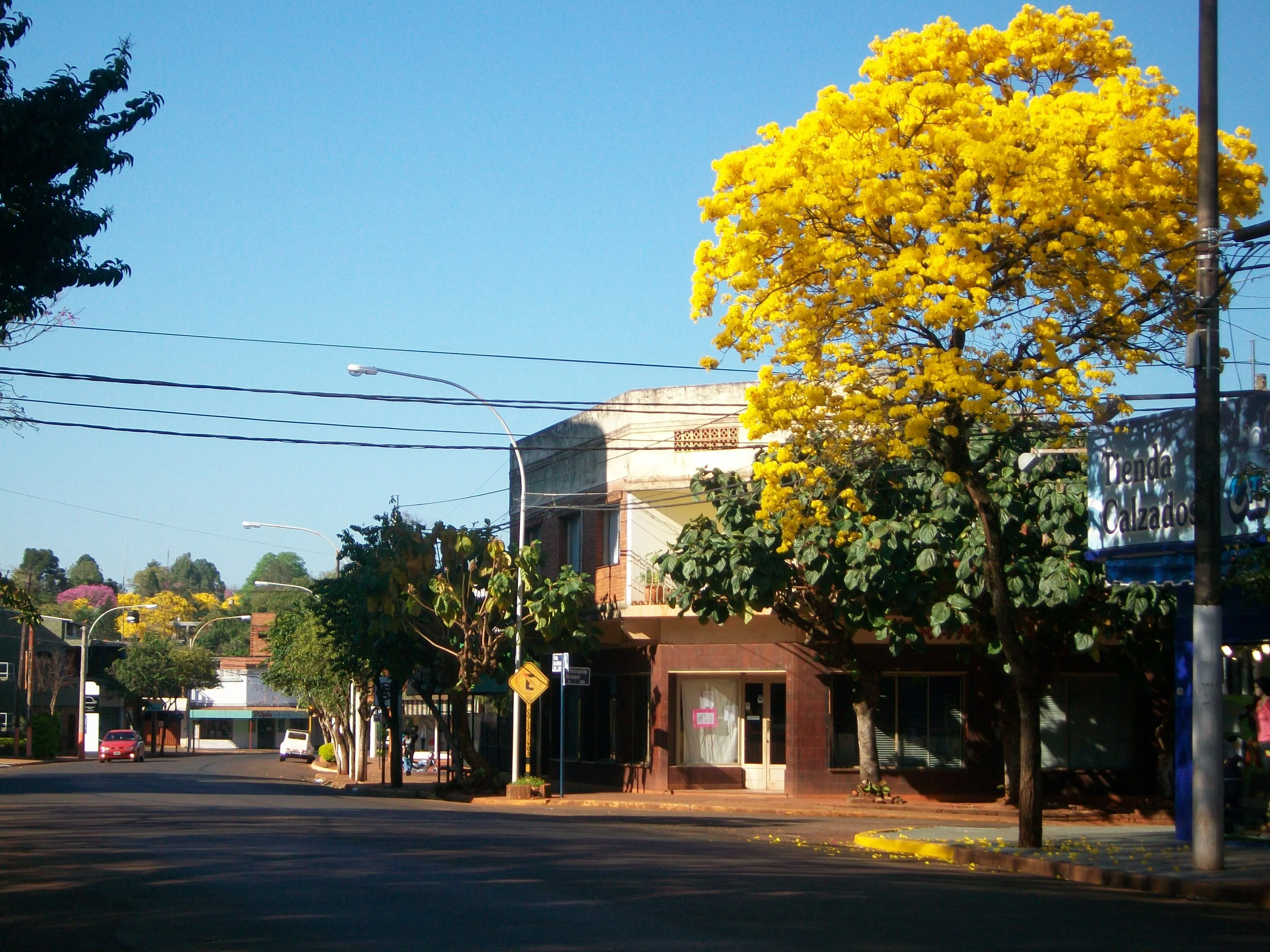 Paisajes De Mi Ciudad | Puerto Ecologia Paisajes De Mi Ciudad | Puerto Ecologia