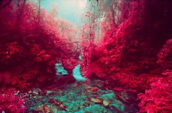 paisajes de color rosa - Buscar con Google | cosas rosas ... paisajes de color rosa - Buscar con Google | cosas rosas ...