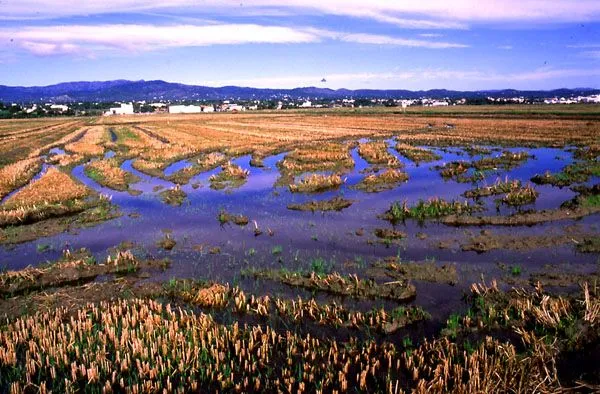 Paisajes culturales, acuerdos internacionales | Med- Paisajes culturales, acuerdos internacionales | Med-