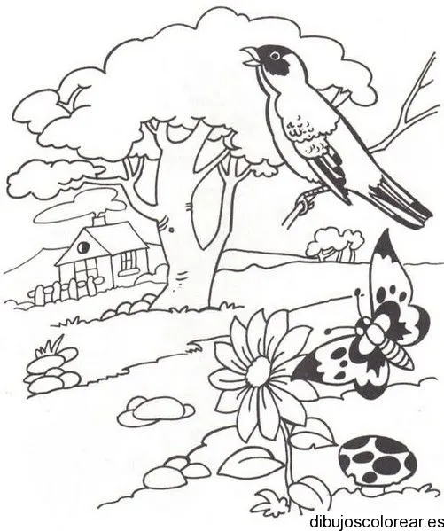 octubre | 2013 | Dibujos para Colorear