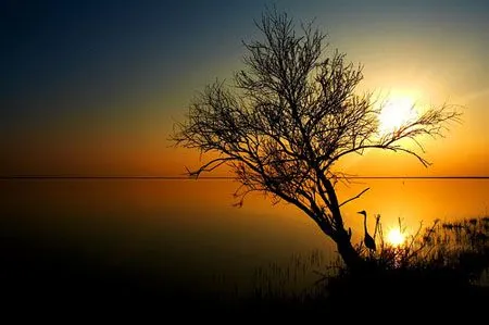 Paisajes de Ensueño: Paisajes Bellos