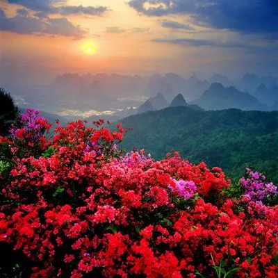 Paisajes de Ensueño: Paisajes Bellos