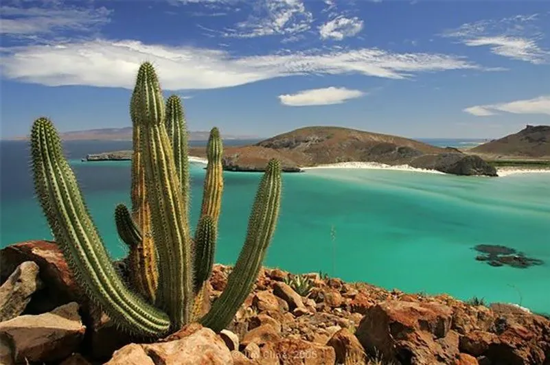 Paisajes de Ensueño: Paisajes de México