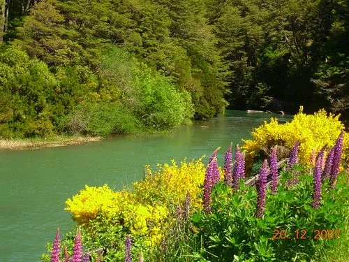 Paisajes con flores y agua - Imagui