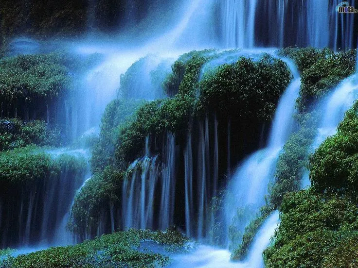 Paisajes Con Flores | Fondos de Cascadas del bosque | Fondos de ...