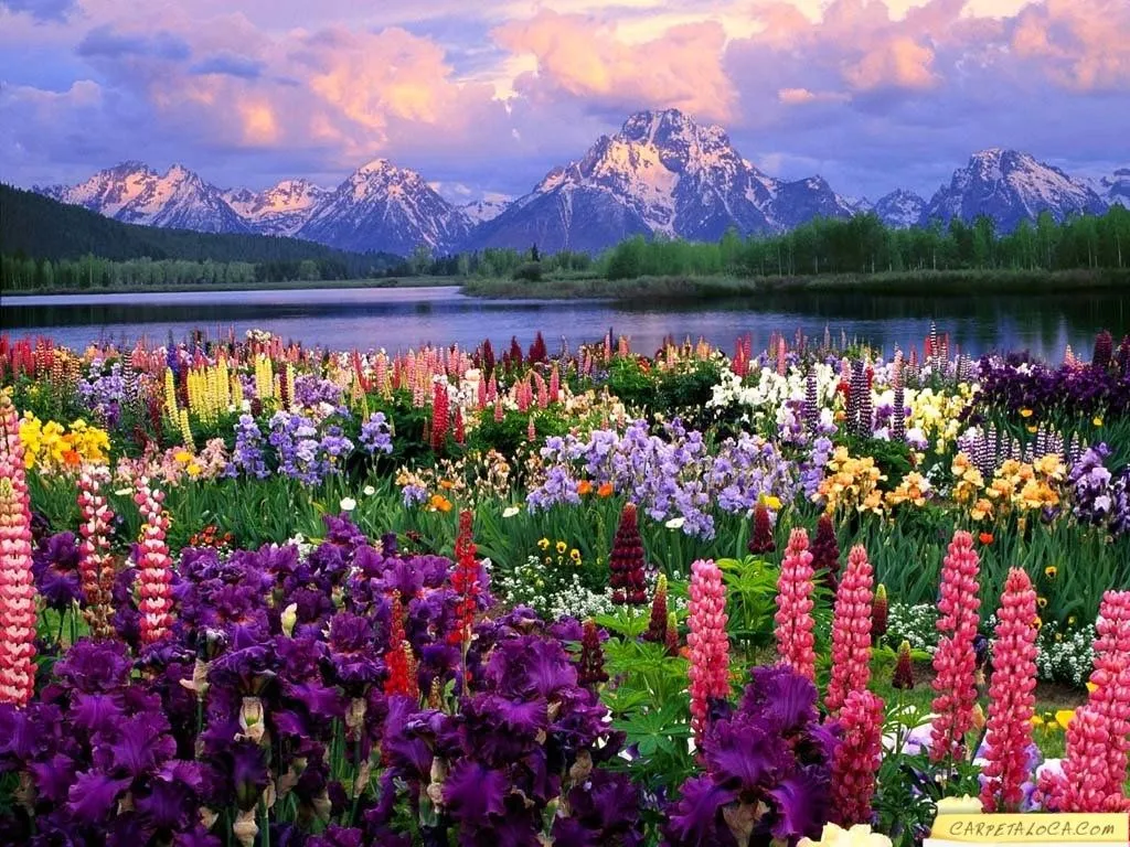 Paisajes Con Flores Hermosas