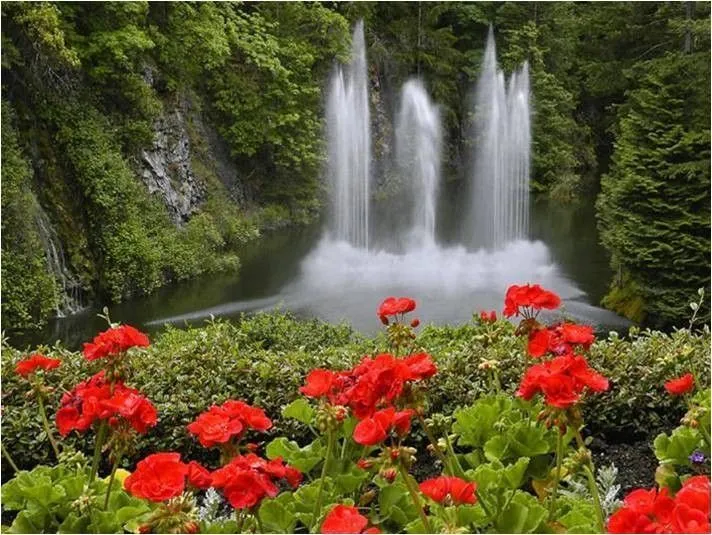 Paisajes De Flores | Paisaje hermosos con flores | paisajes ... Paisajes De Flores | Paisaje hermosos con flores | paisajes ...