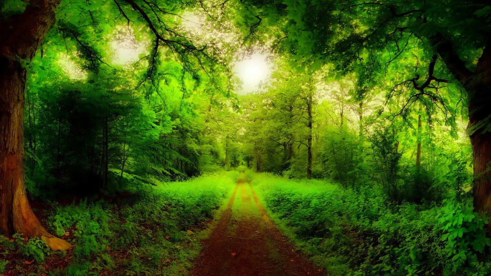 Paisajes Para Fondo De Pantalla Con Movimiento