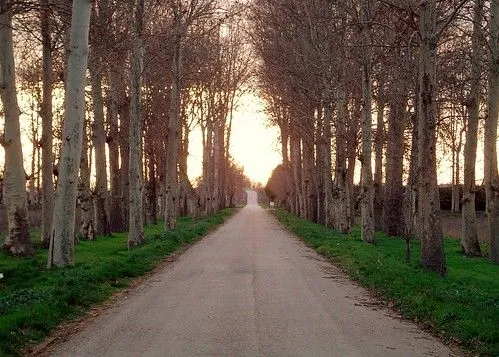 Paisajes - Fotos de la superficie del planeta | Flickr - Photo ...