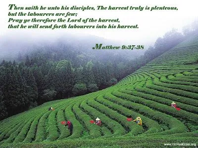 paisajes gloriosos hermosos bellisimos imagenes gratis | Catolicos ...