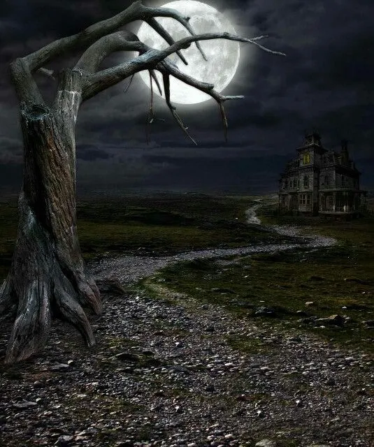 Paisajes Goticos on Pinterest | Ravens, Haunted Houses and Crows ... Paisajes Goticos on Pinterest | Ravens, Haunted Houses and Crows ...