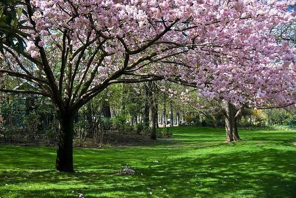 paisajes hermosos - Buscar con Google | Lugares para visitar ... paisajes hermosos - Buscar con Google | Lugares para visitar ...