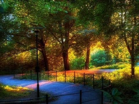 Paisajes-Hermosos-Gratis-14.jpg (480×360) | Hermosa naturaleza ...
