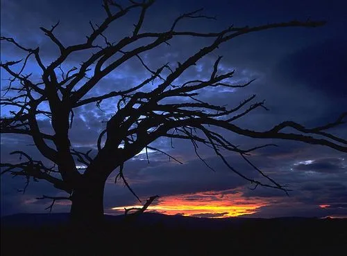 Ver imagenes de paisajes: imagenes de paisajes hermosos de noche Ver imagenes de paisajes: imagenes de paisajes hermosos de noche