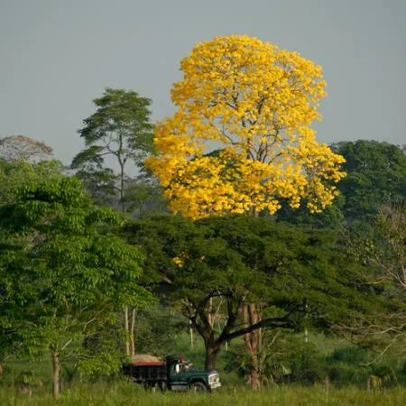 paisajes hermosos de venezuela y el mundo... - Taringa!