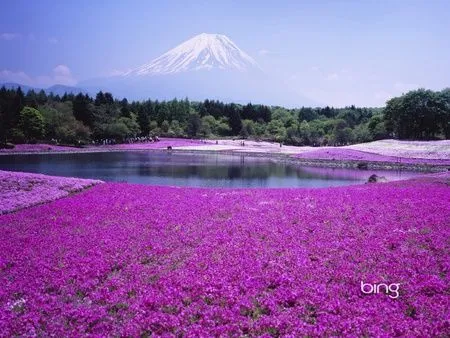 paisajes - imagenes graciosas,bonitas y curiosas. - Blogs ...