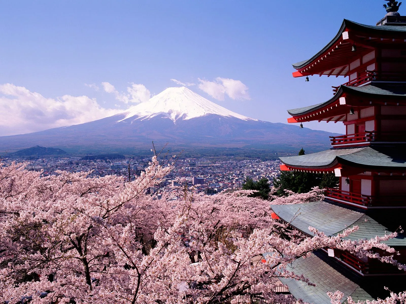 paisajes-japoneses-cerezos | VIAJANDO DESDE CASA