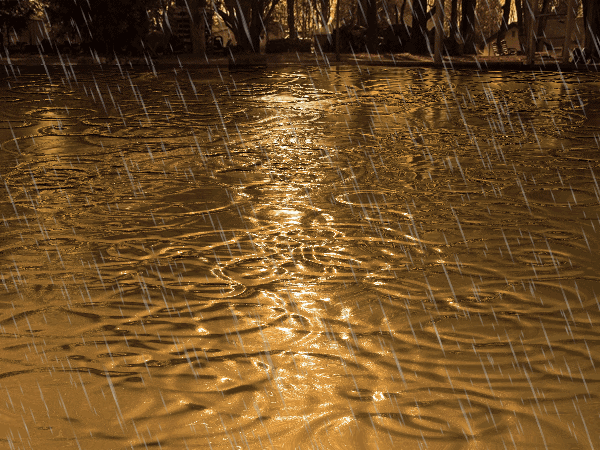 El rincón de las palabras: Fabula del sol y de la lluvia. El rincón de las palabras: Fabula del sol y de la lluvia.