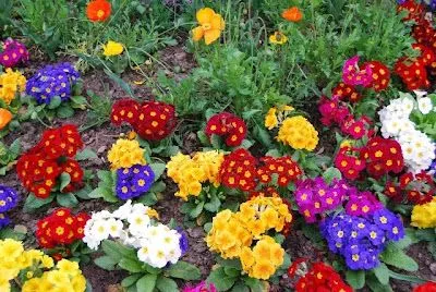 paisajes y lugares bellos: Paisajes de primavera paisajes y lugares bellos: Paisajes de primavera