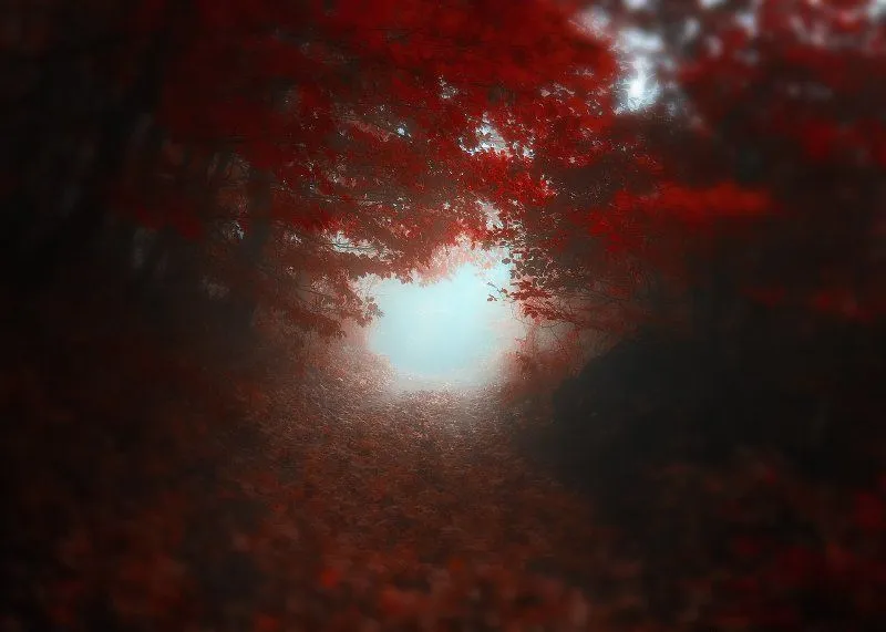 Paisajes de matices rojos y oscuros fantásticos - Identi Paisajes de matices rojos y oscuros fantásticos - Identi