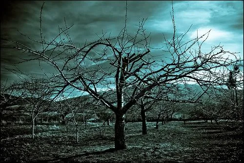 Paisajes de miedo HD - Imagui