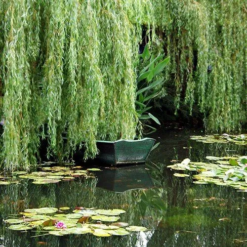 paisajes del mundo: Paisajes relajantes
