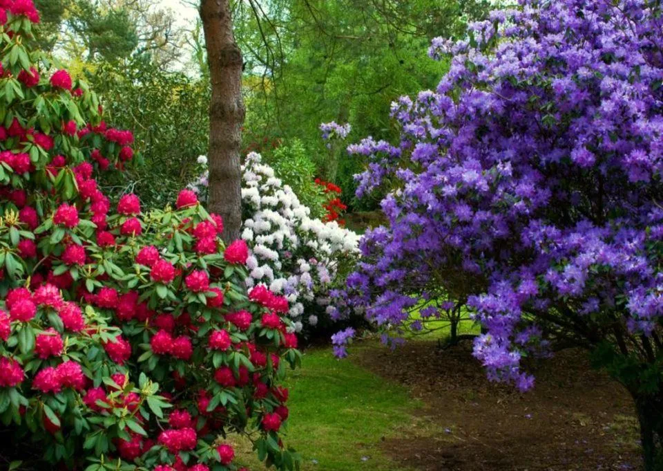 paisajes del mundo: Paisajes...bonitos de Primavera paisajes del mundo: Paisajes...bonitos de Primavera