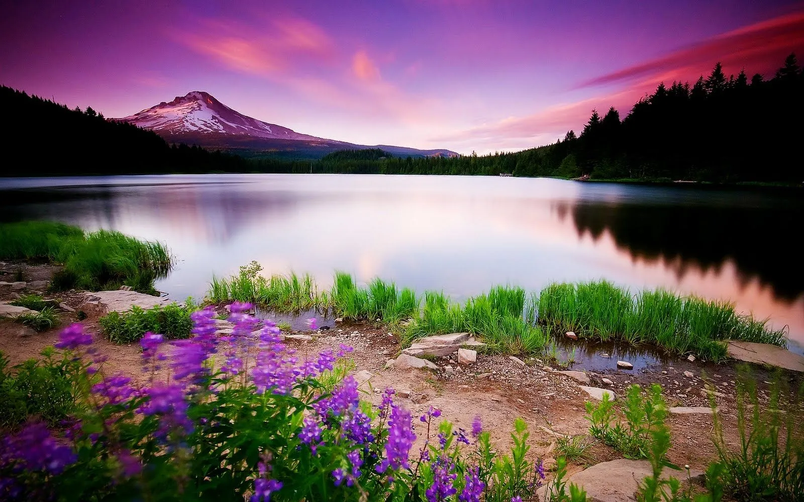Paisajes Magicos 3d