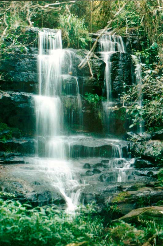 Imagenes de paisajes naturales con animales - Imagui Imagenes de paisajes naturales con animales - Imagui