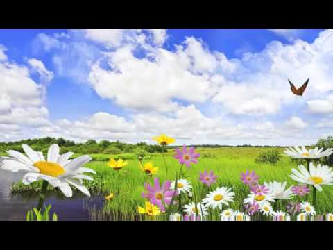 paisajes naturales para fondo de pantalla del monitor - YouTube