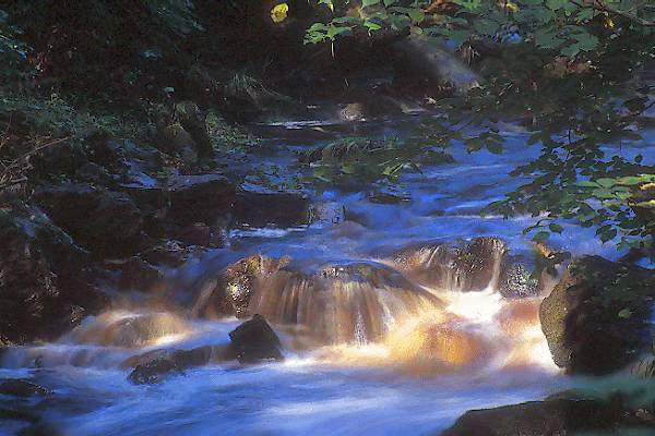 Paisajes naturales en gif en movimiento - Imagui