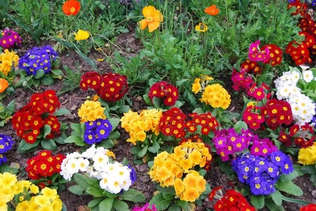 paisajes naturales « Salvador Guirado, perdonen que no les dé la ...