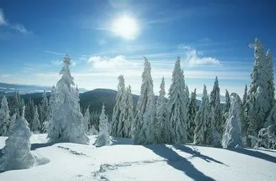 paisajes de nieve con sol