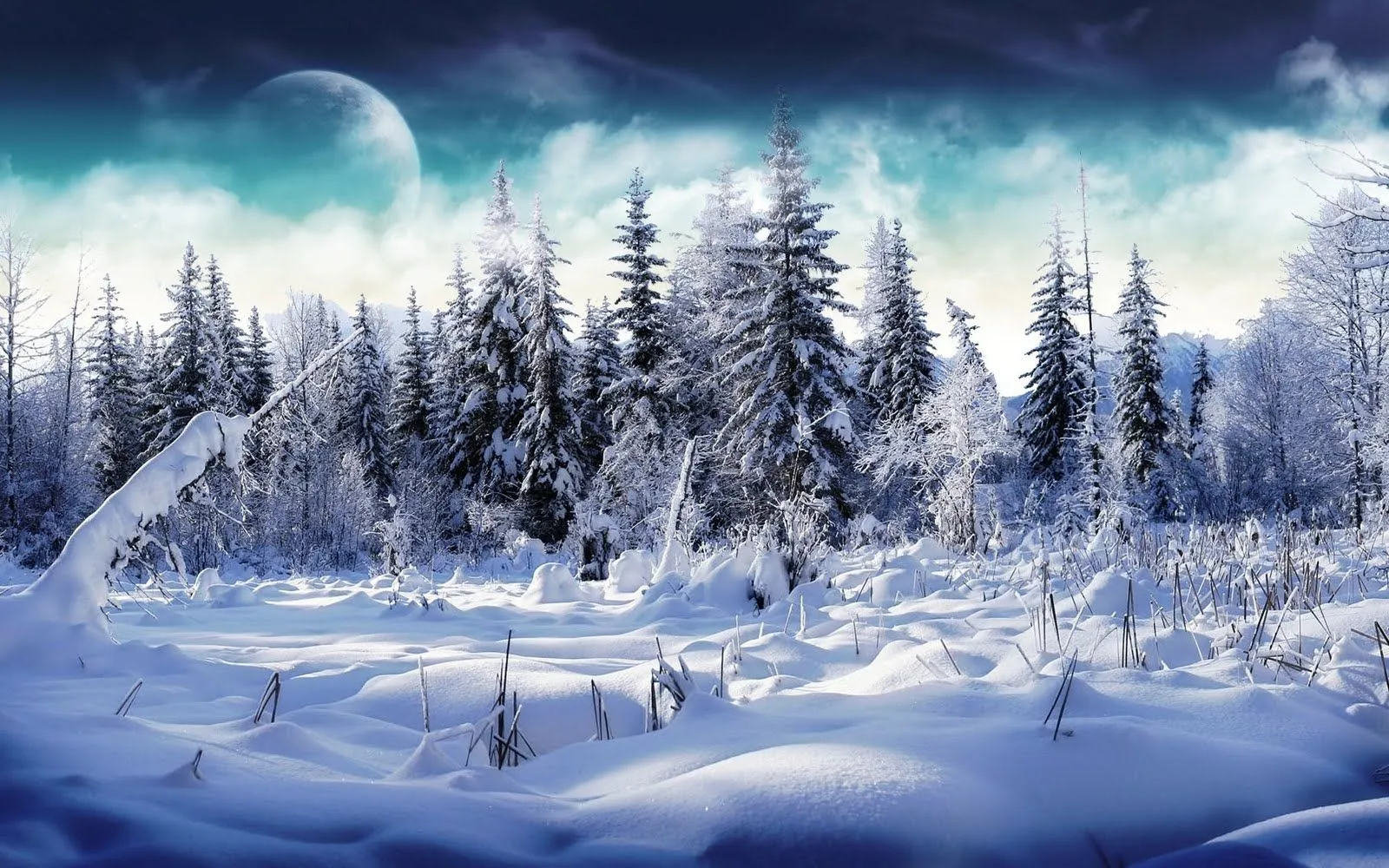 Banco de Imágenes Gratis: Paisajes con Nieve II (Postales Invernales) Banco de Imágenes Gratis: Paisajes con Nieve II (Postales Invernales)