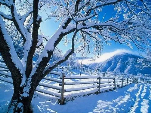 paisajes-nevados-3.jpg
