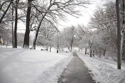 paisajes de nieve Parque de Toronto en invierno
