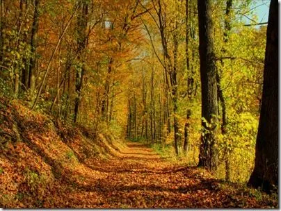 Paisajes Otoñales: Fondos de Pantalla | Banco de Imagenes Gratuitas Paisajes Otoñales: Fondos de Pantalla | Banco de Imagenes Gratuitas