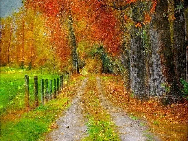 Fondos de pantalla paisajes otoñales gratis - Imagui Fondos de pantalla paisajes otoñales gratis - Imagui