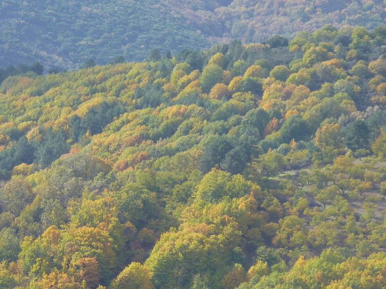 Paisajes Otoñales de la Montaña Mediterránea (Sierra de Guadalupe ... Paisajes Otoñales de la Montaña Mediterránea (Sierra de Guadalupe ...