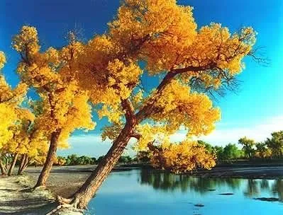 Los paisajes de otoño en la Semana Dorada de Día Nacional <font ... Los paisajes de otoño en la Semana Dorada de Día Nacional <font ...