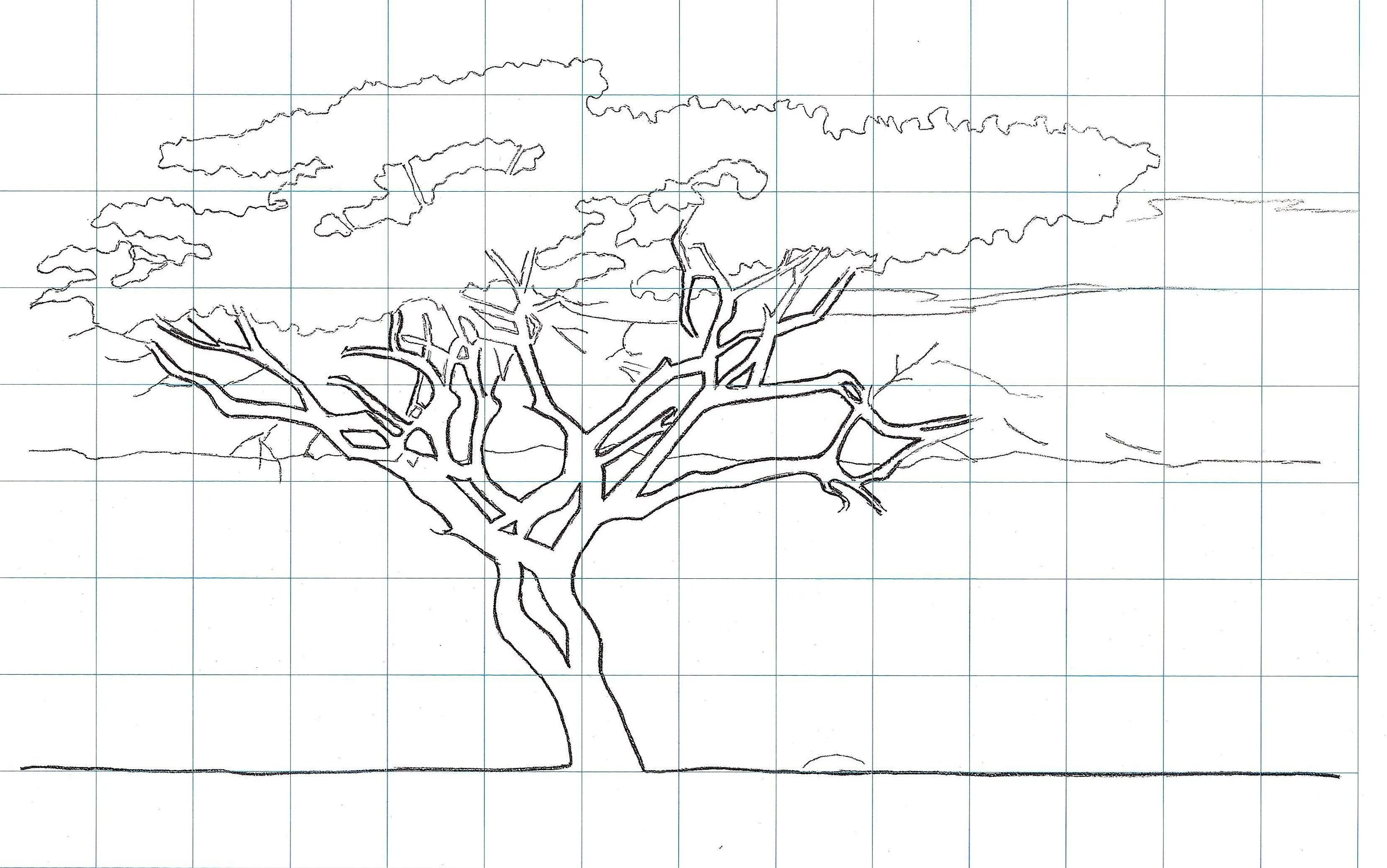 Paisajes Para Pintar