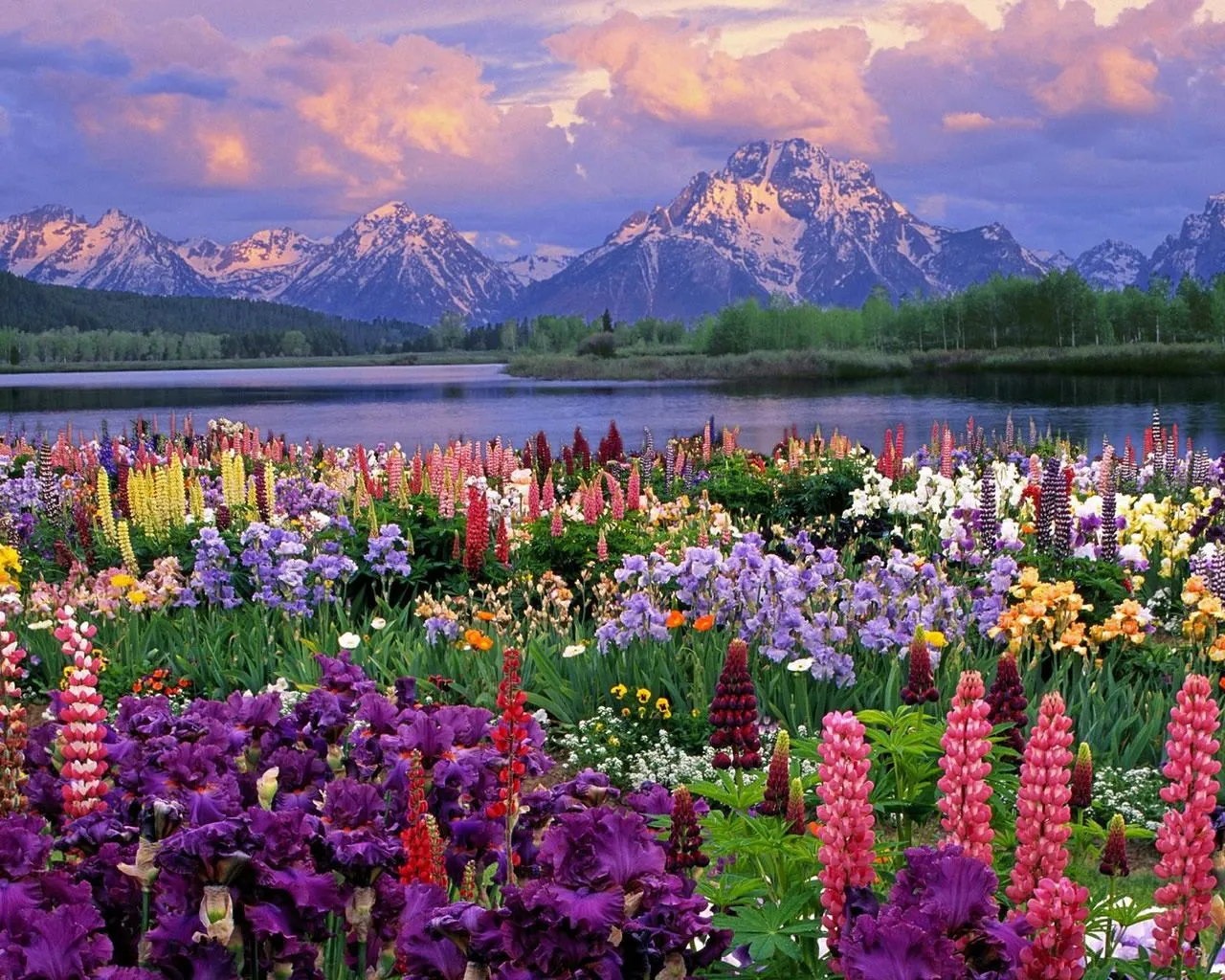 Paisajes de primavera ~ Fondos de Pantalla