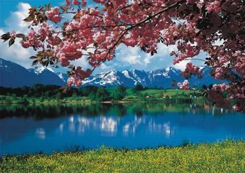 Paisajes Primaverales