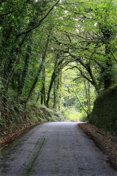Paisajes para quince años - Imagui