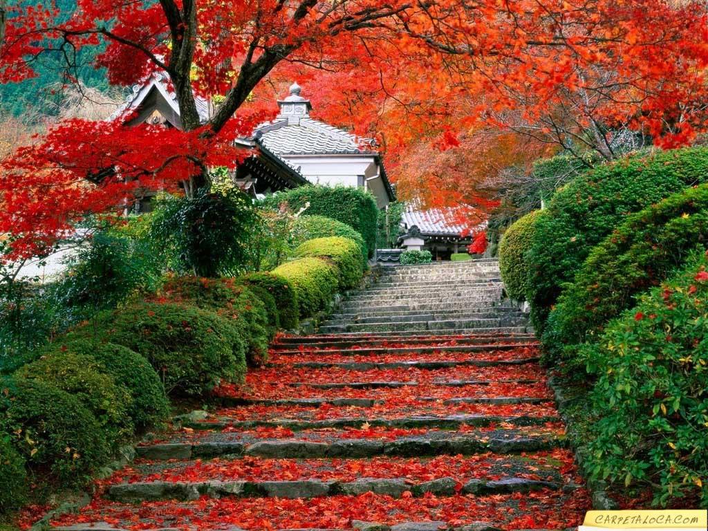 Paisajes Reales