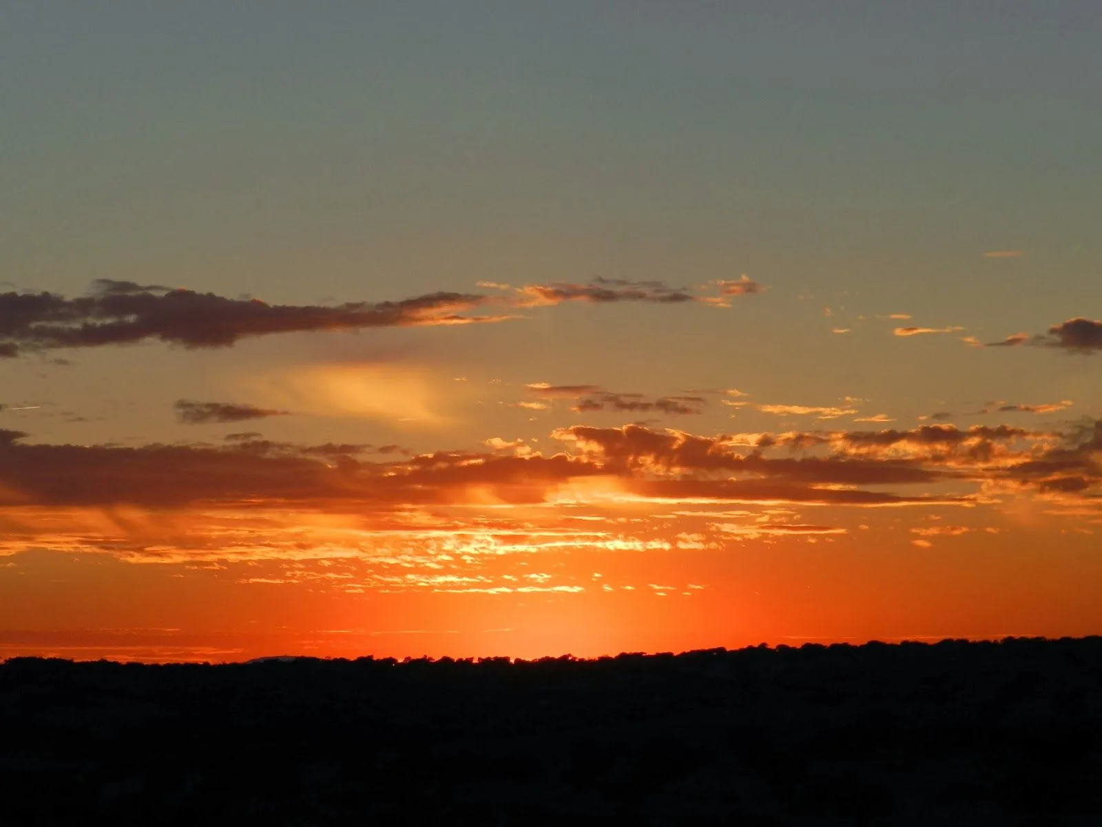 Paisajes Reales: Atardecer entre encinas