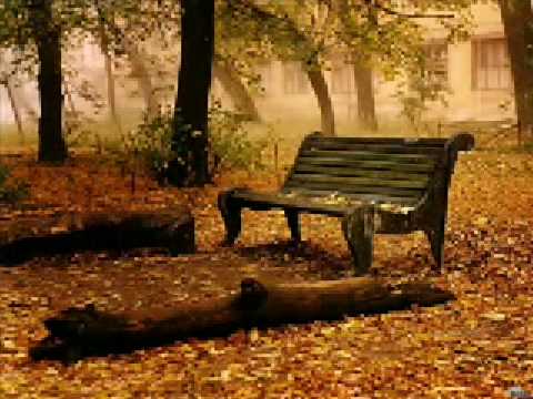 Musica de Relajacion. Paisajes de Otono. Ideal Para Dormir. - YouTube