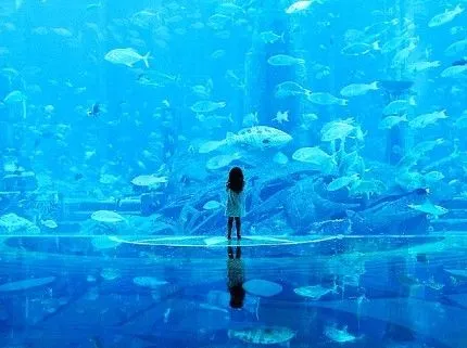 Los paisajes que revelan un mundo hermoso y misterioso _Spanish ... Los paisajes que revelan un mundo hermoso y misterioso _Spanish ...