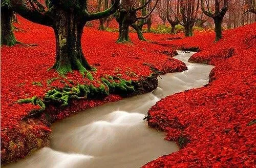 Madeira. Portugal. Paisajes rojos | Fotos impresionantes ... Madeira. Portugal. Paisajes rojos | Fotos impresionantes ...