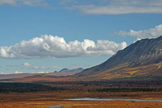 Paisajes de la tundra en Alaska | Imagenes Sin Copyright Paisajes de la tundra en Alaska | Imagenes Sin Copyright